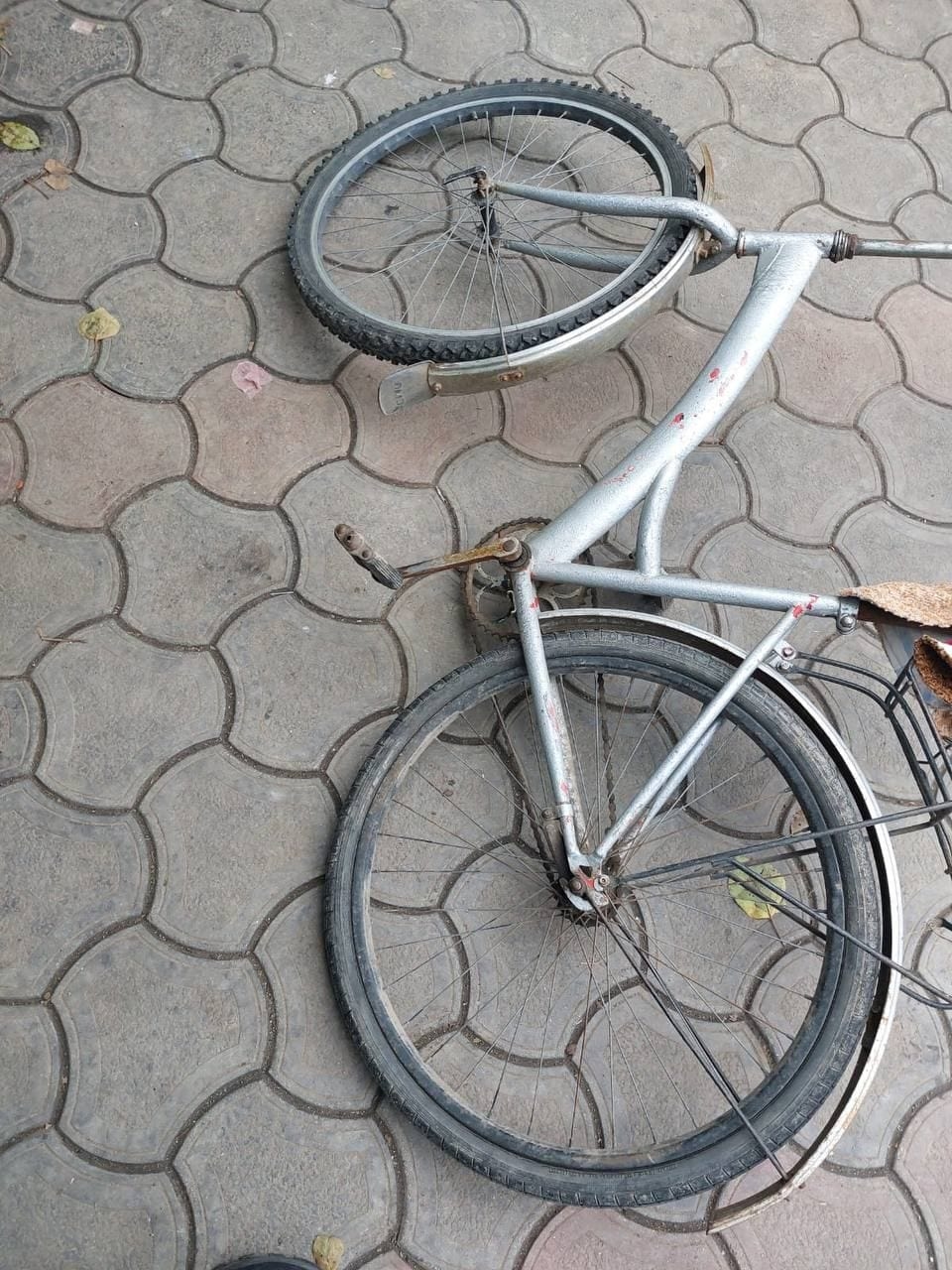 Изображение из галереи
