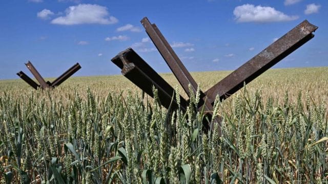 Россия будет продавать украинское зерно из Запорожья странам Ближнего Востока